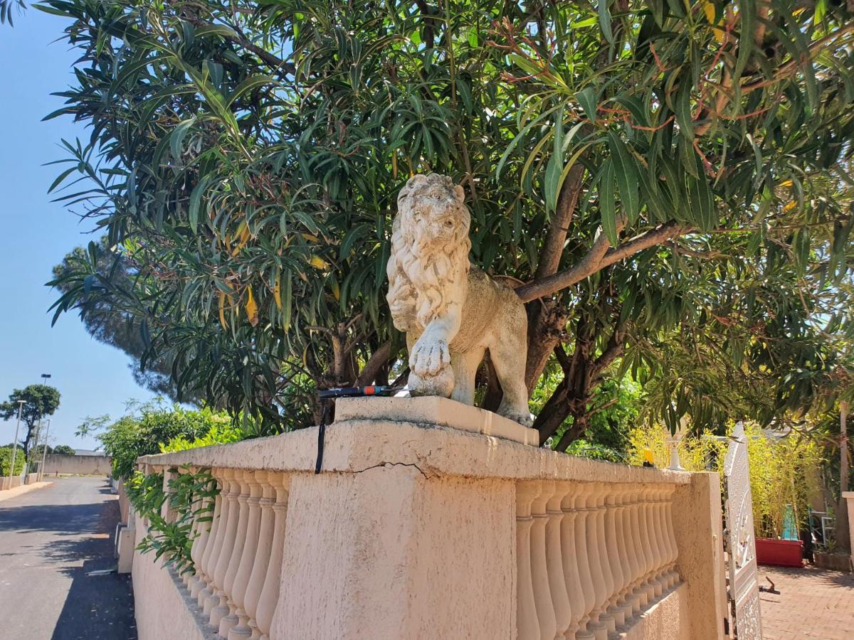Villa Les Palmiers -Stretta Di I Mandarini Лучиана Екстериор снимка