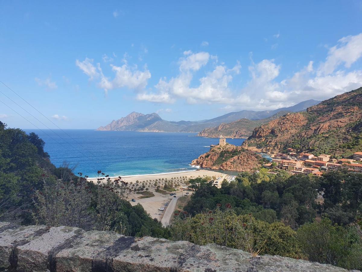 Villa Les Palmiers -Stretta Di I Mandarini Лучиана Екстериор снимка